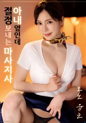 看不见的客人影片资料占位图，标注2016年与密室推理片种